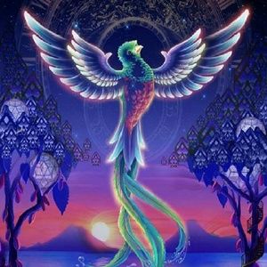 Meet your Posher, Jersey